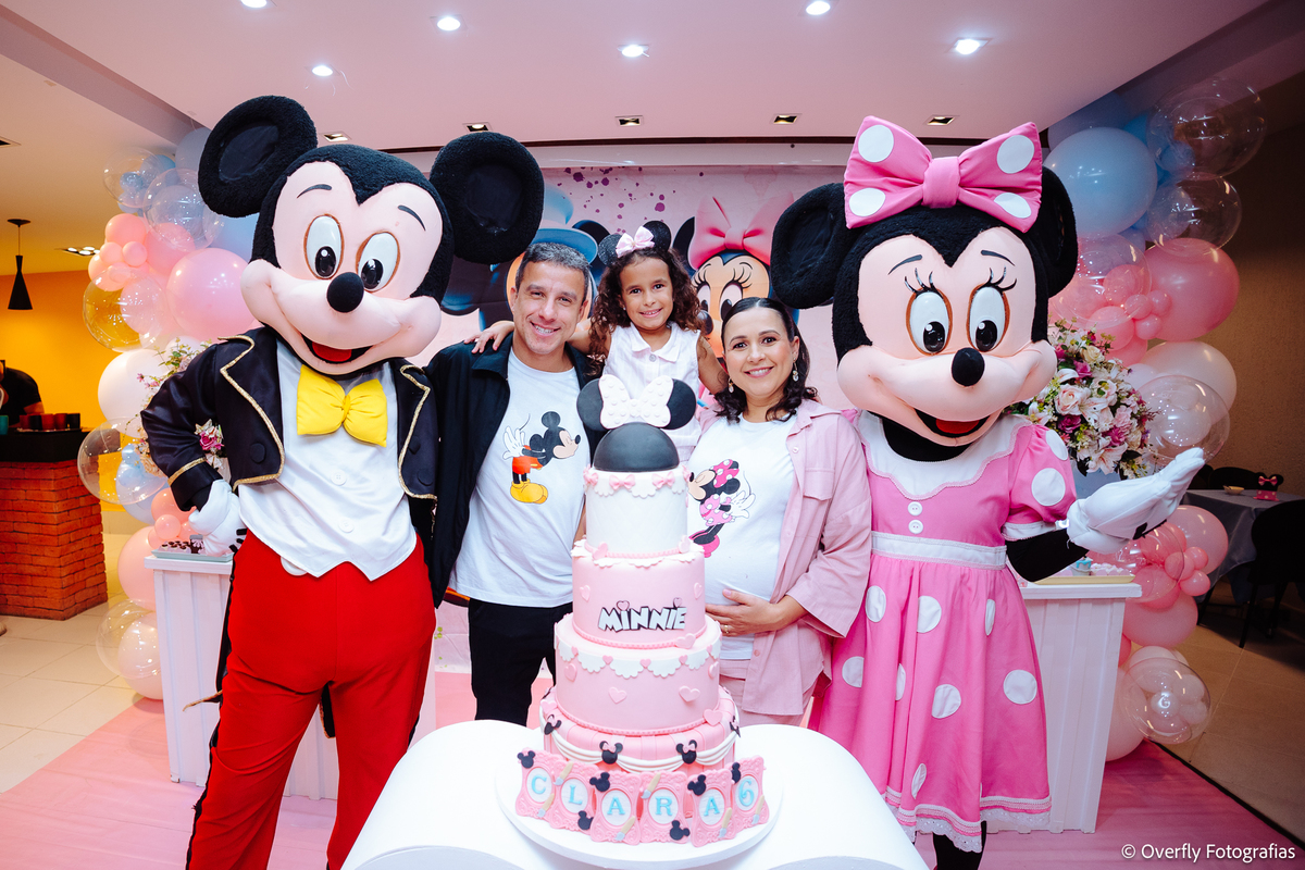 aniversário Minnie em Niterói