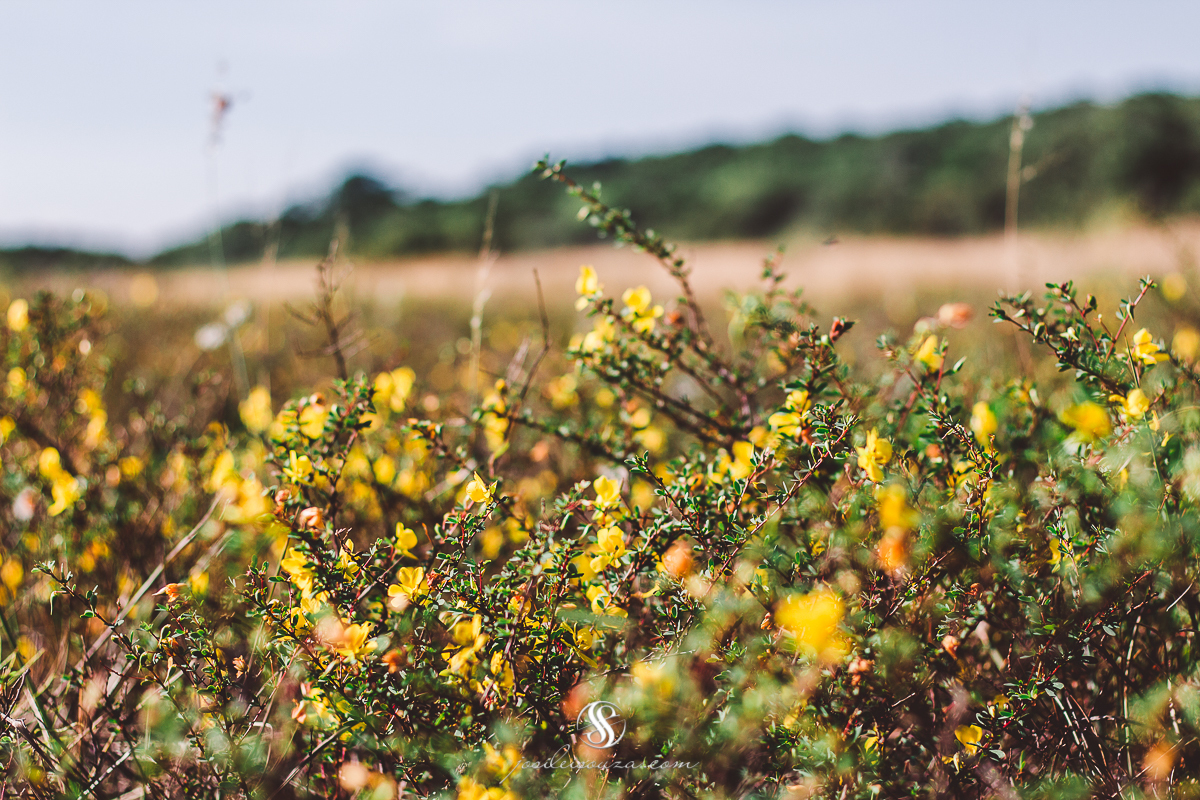 Acompanhamento Gestacional em Maricá - RJ