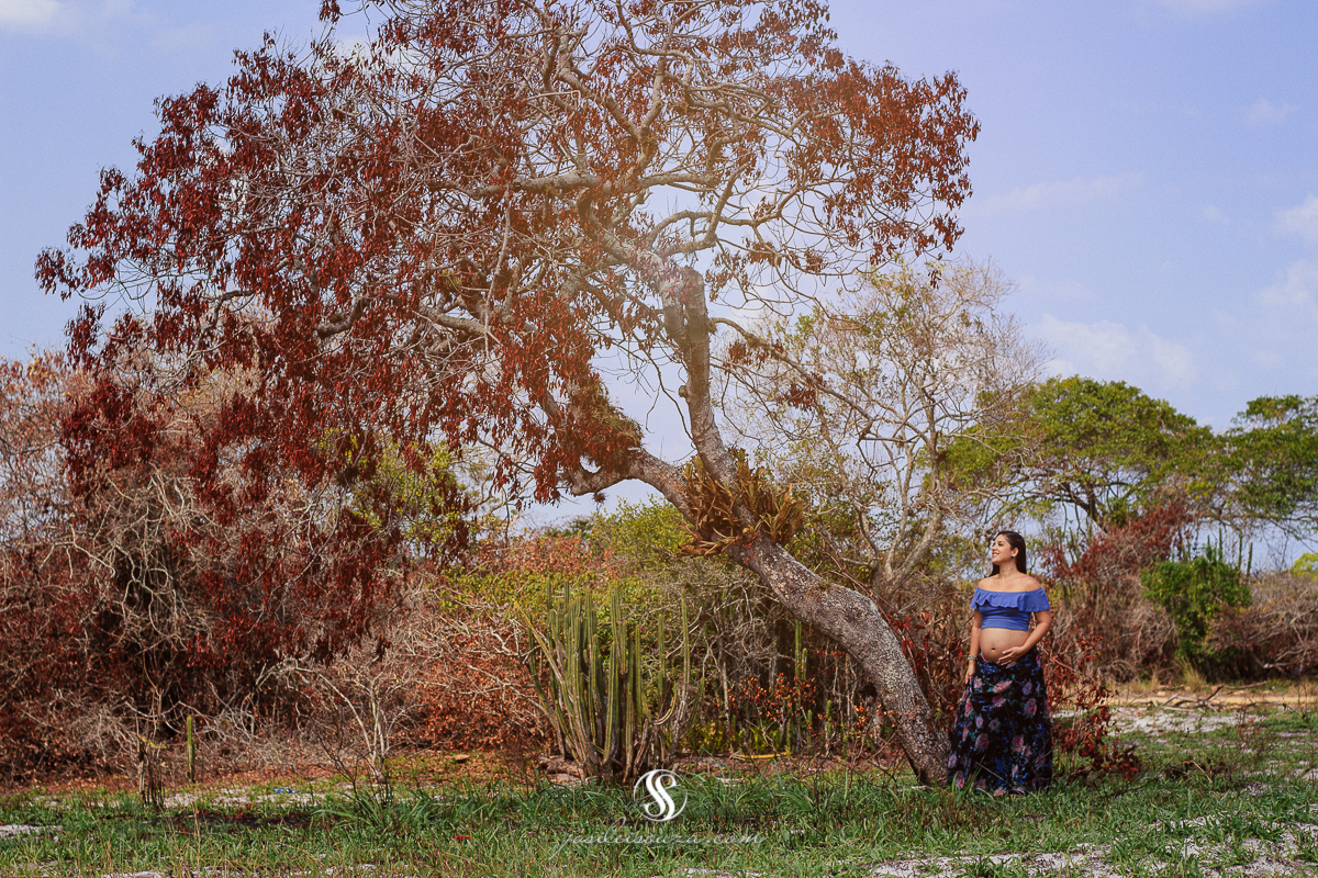 Acompanhamento Gestacional em Maricá - RJ