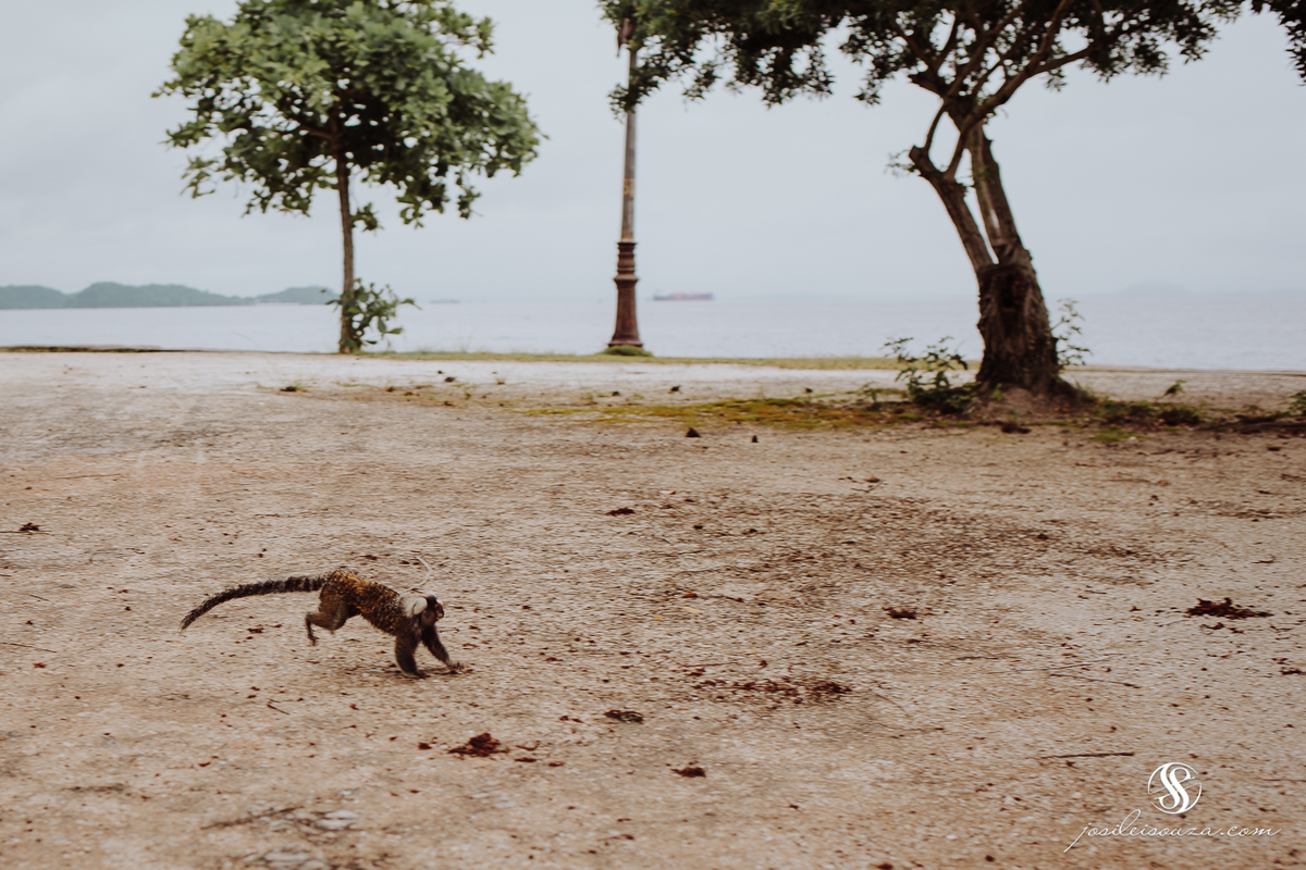 Ensaio Pré Casamento na Ilha de Paquetá - RJ
