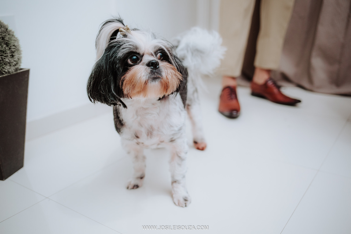 Casamento no MS Garden em Rio Bonito