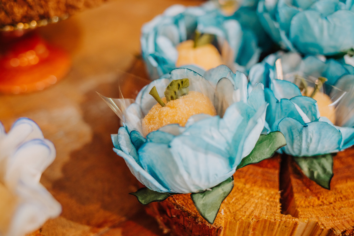 Casamento na Casa no Campo Eventos em Niterói