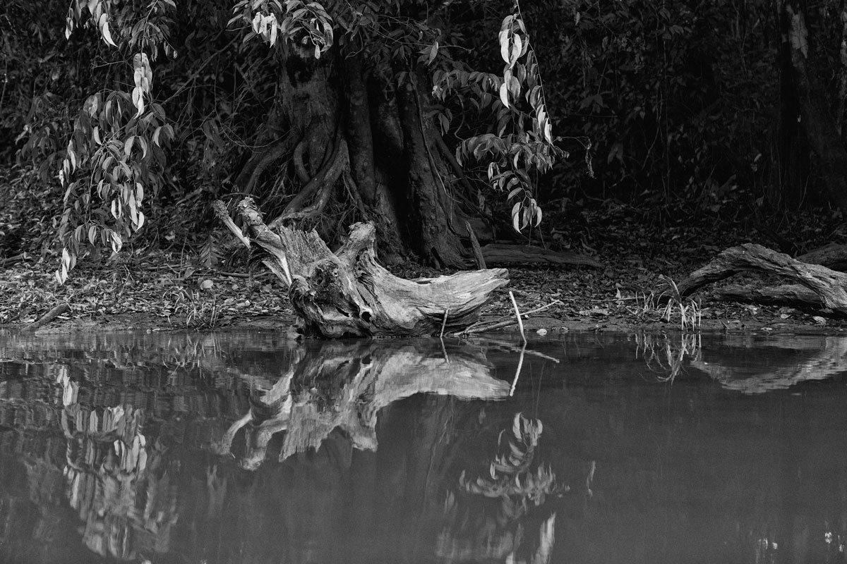 Fotos de Igarapé do fotógrafo Romero Cruz