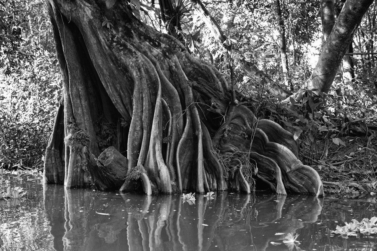 O fotógrafo Romero Cruz fotografou a seca dos rios e seus igarapés