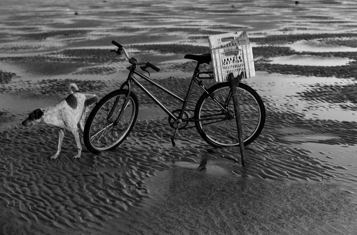 Cena de cachorro de pescador urinando em bicicleta enquanto seu dono pesca na comunidade cantinho do céu em Soure no Pará na fotografia de Romero Cruz