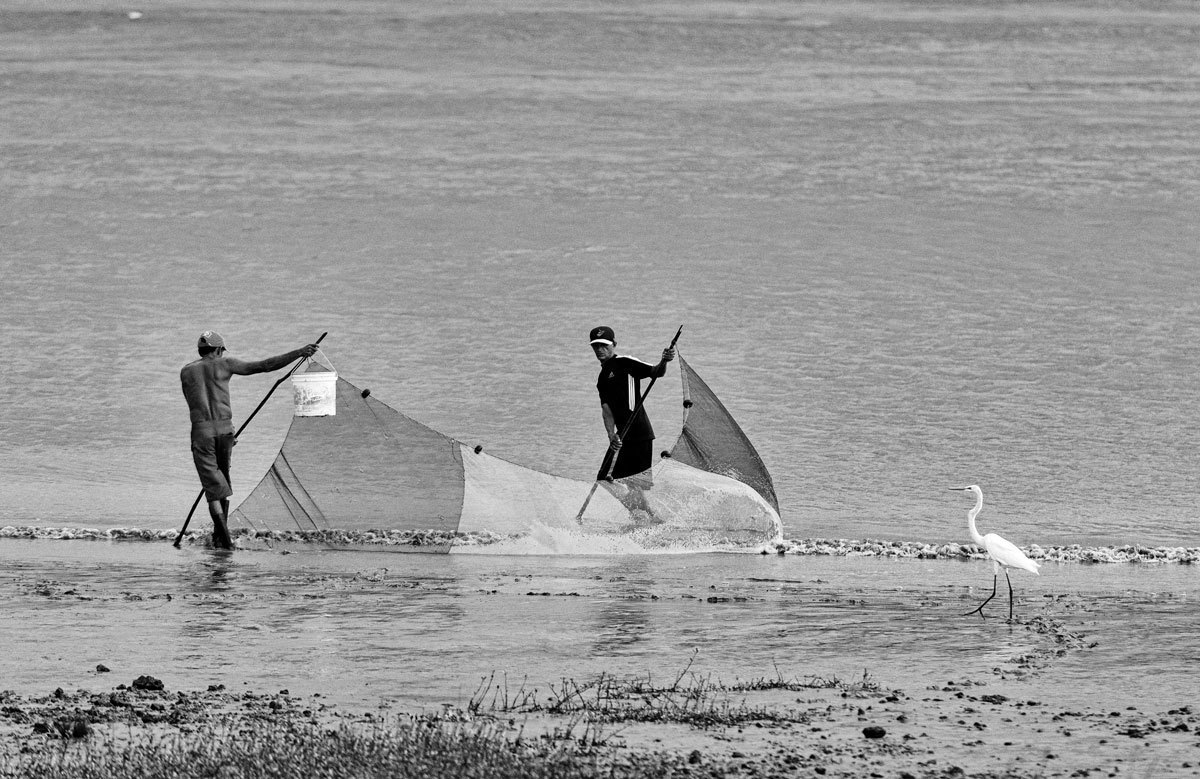 Pescadores de camarão sendo observado por garça numa praia do município de Soure no Pará. Na fotografia do fotógrafo Romero Cruz