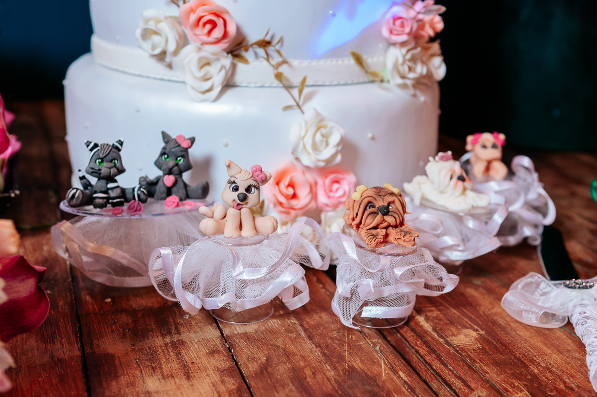 Casamento Felipe e Sibele, Patos de Minas-MG, Wellington Guimarães Fotografias