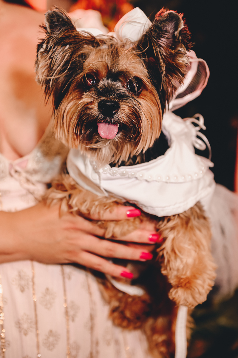 casamento ,noiva, noivos, noivas 2014, vestido de noiva, festa de casamento, fotografia de casamento, Wellington Guimarães Fotógrafo
