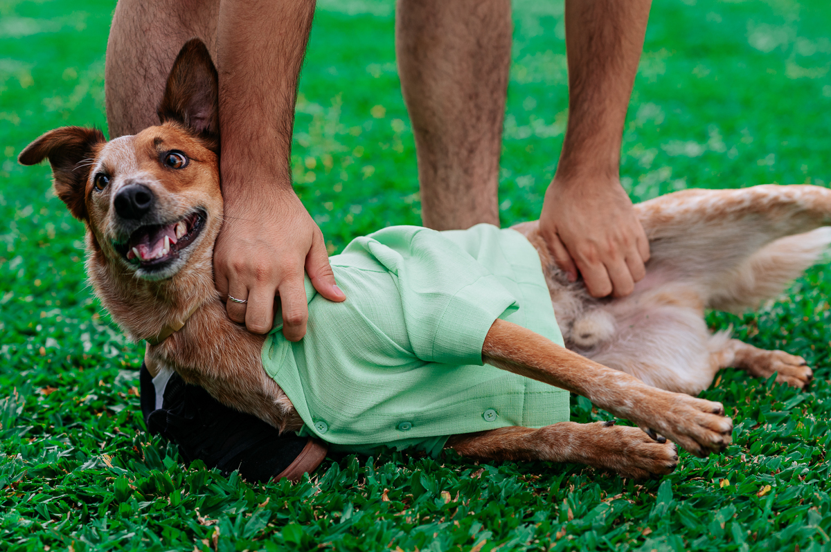 Ensaio Casal Gizelle e Arthur , noivos, noivas, fotos de casal , Wellington Guimarães Fotógrafo
