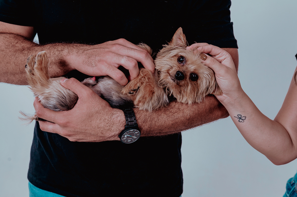 Fotografo Wellington Guimarães, Patos de Minas, MG, fotografia ce casal, fotografo de casamento, ensaio de casal