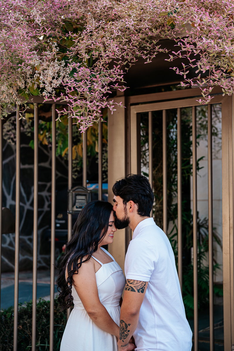 Wellington Guimarães Fotografo, Ensaios Patos de Minas,MG, Casais, noivos, album de casamento, fotos
fotografia