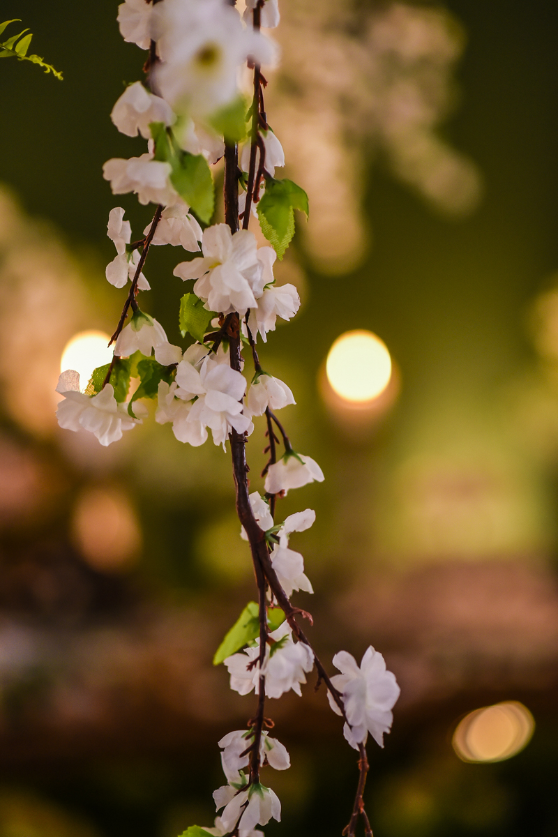 Casamento Fernando e Júlia, Patos de Minas-MG,Wedding, love, vestido de noiva,casamento feliz, Wellington Guimarães Fotógrafo, noivas 2019