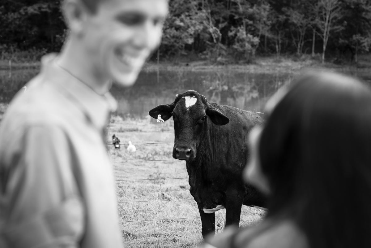 Luiz e Andressa, ensaio namoro, wedding, noivos, noivas, casamento, Wellington Guimarães Fotografias