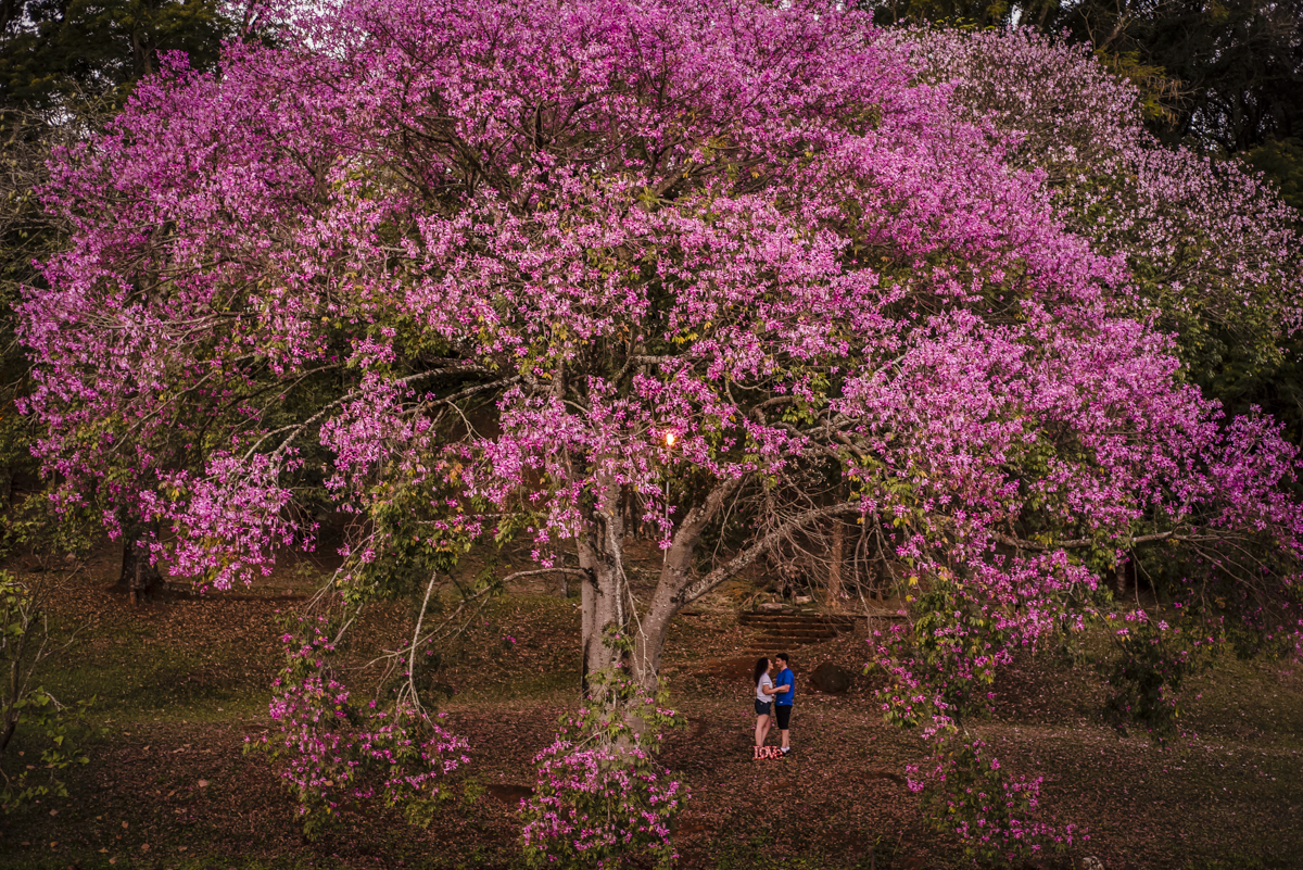Ensaio Namoro, Carina e José Luis, Araxá MG, Lagoa Formosa-MG, Patos de Minas-MG, fotos de casal, wedding, dress, #noivas2018,Wellington Guimarães Fotografo