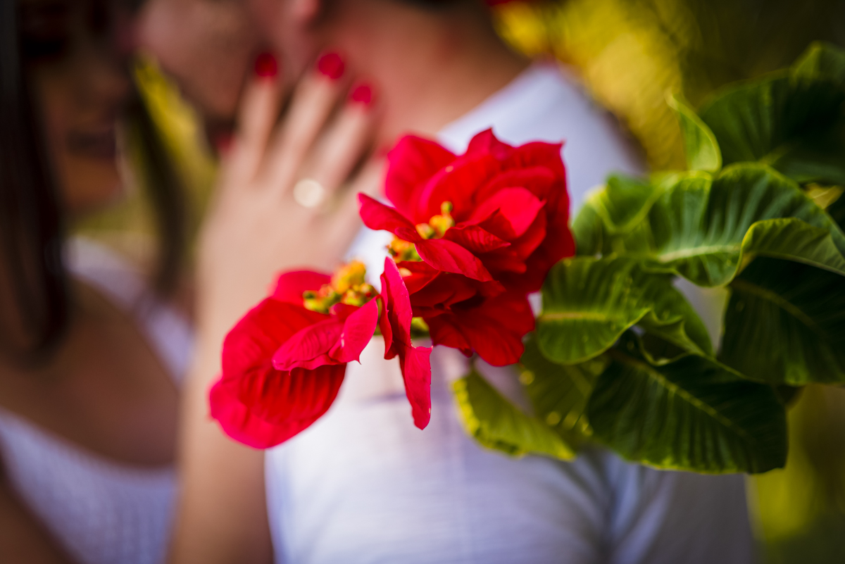 Thayna e Renato,ensaio namoro,pre´wedding,casamento, Wellington Guimarães Fotografias