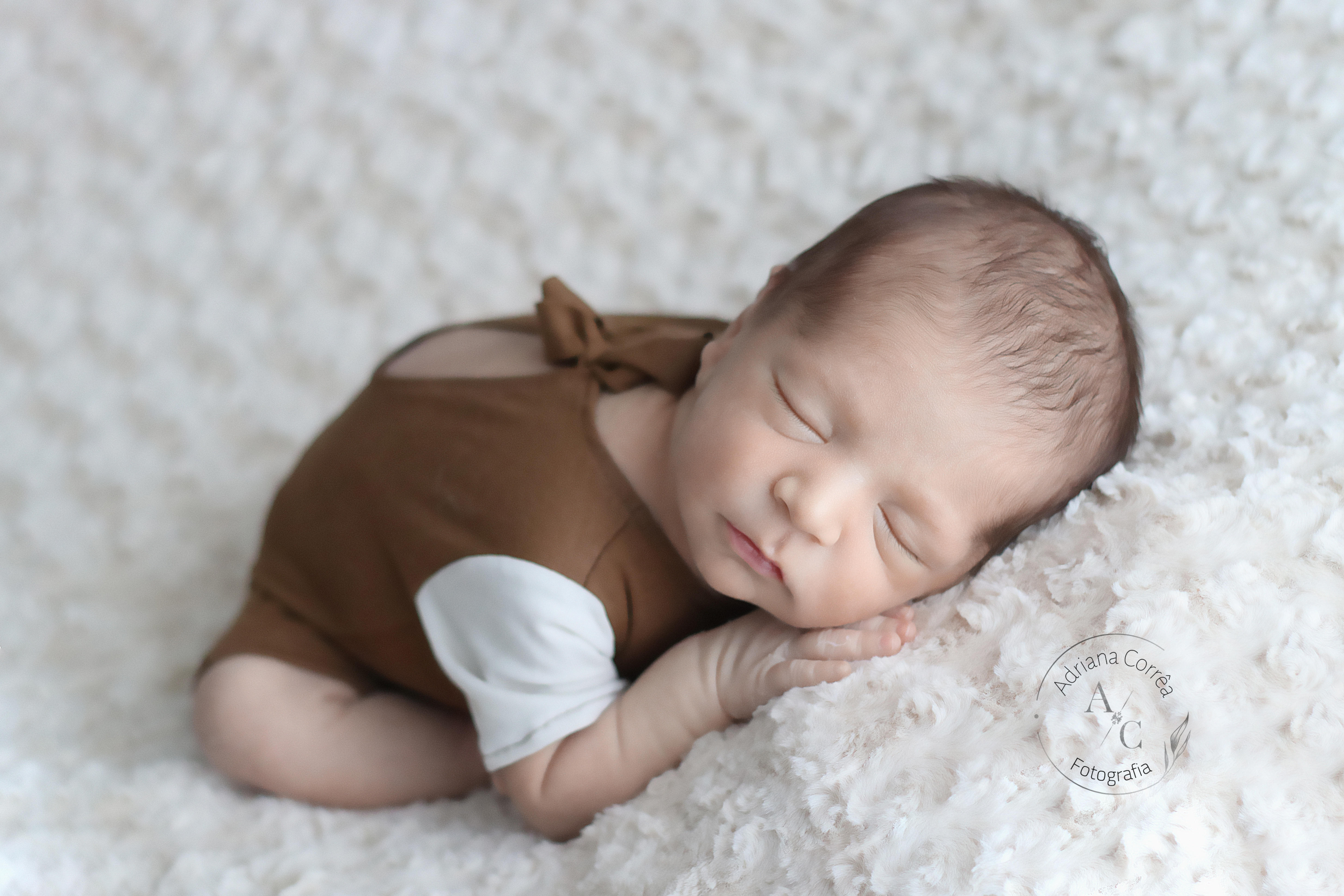 Contate Adriana Corrêa Fotografia