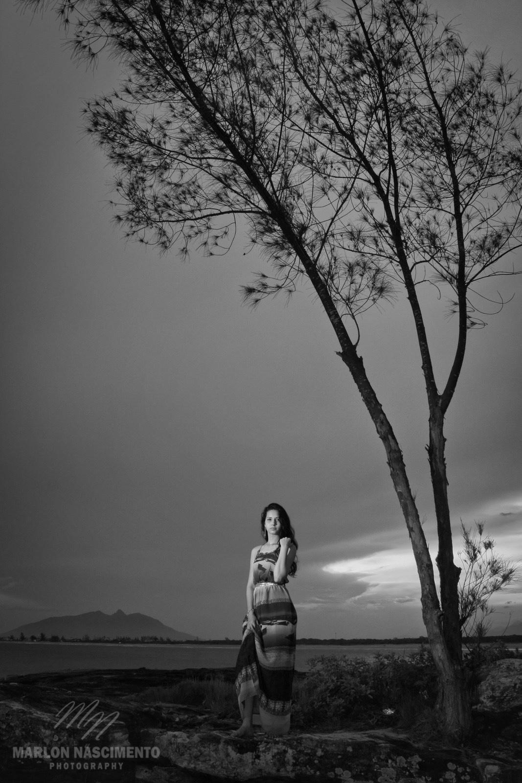 Ensaio Externo (book) Dayanne Mendes