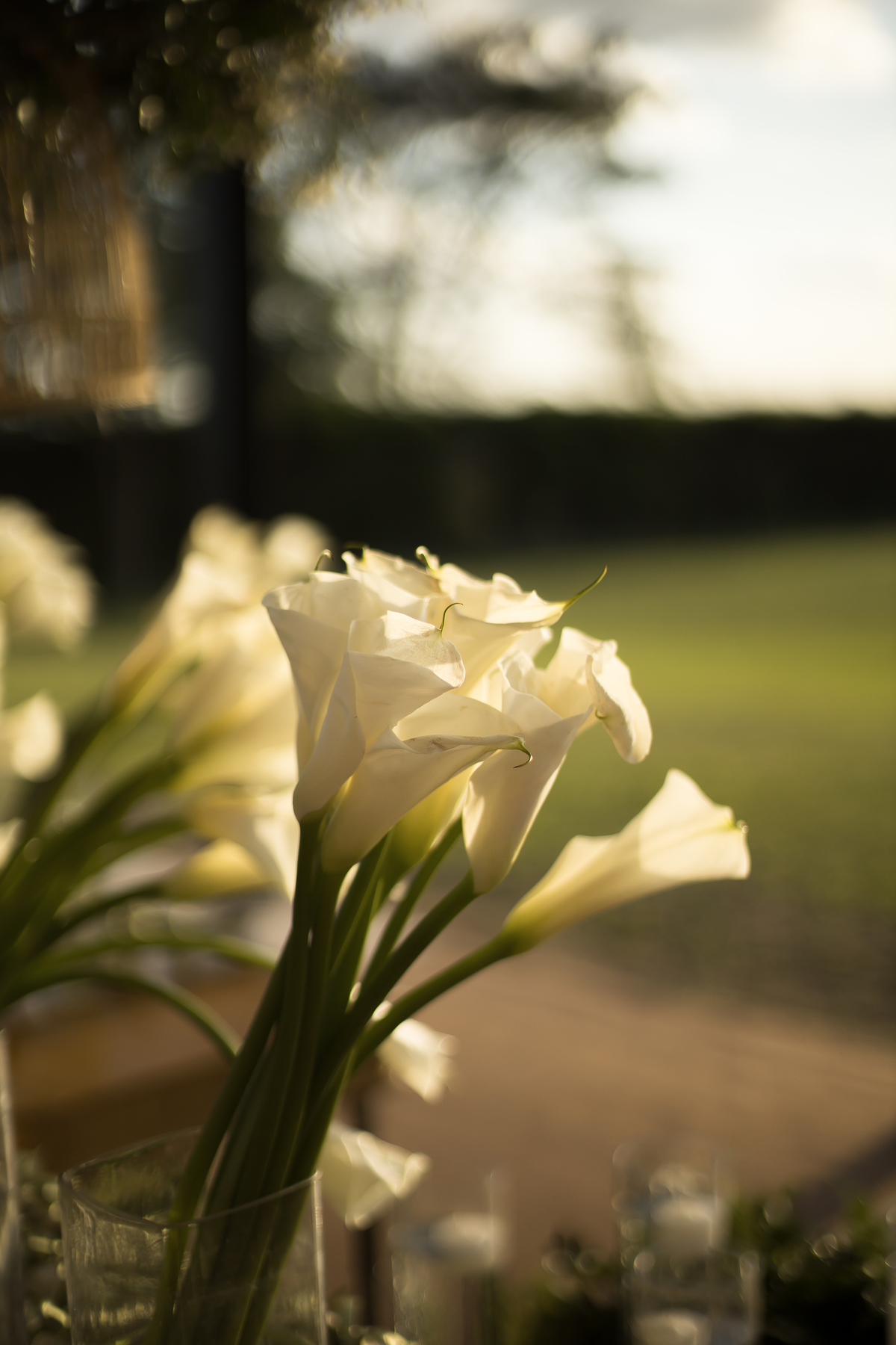 Decoração de casamento classico elegante