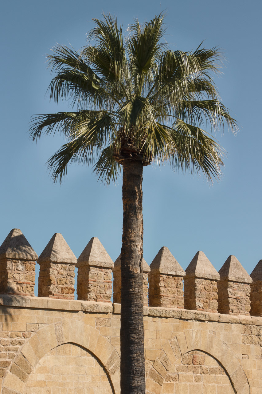 córdoba - castelo
foto para quadro decorativo