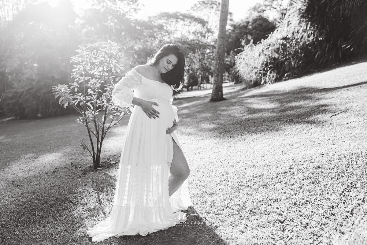 book-gestante-externo-sp