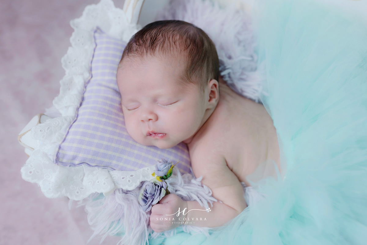 ensaio-newborn-menina-em-domicilio-sp-zs-sonia-colvara. 08 jpg
