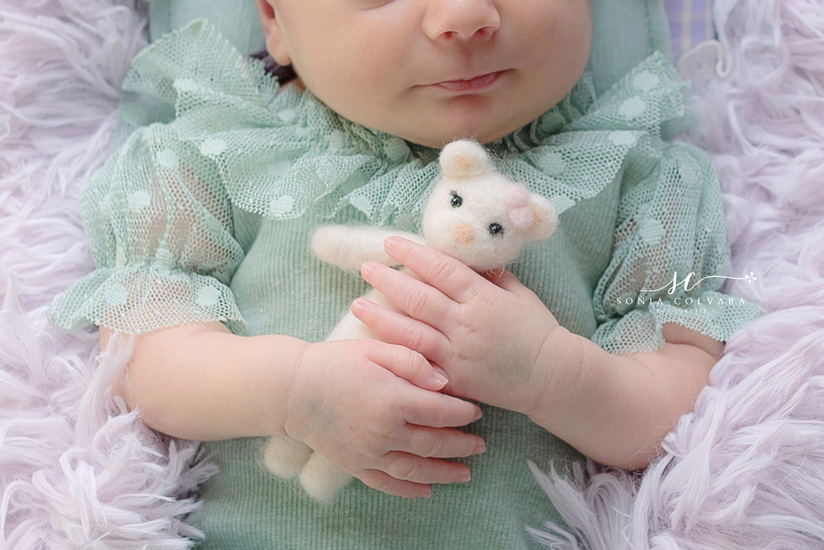 álbum-newborn-de-menina-newborn-em-domicilio-sp-zona-sul-soniacolvara11