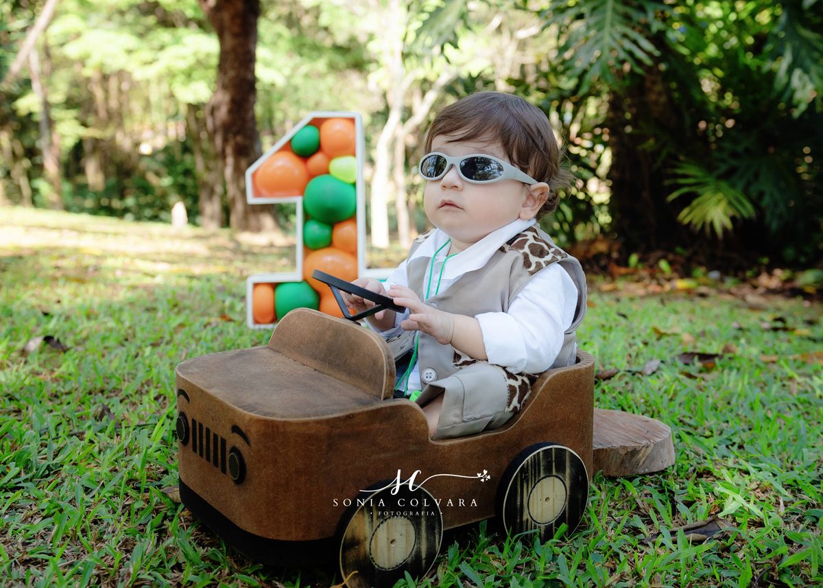 ensaio smash the cake de menino do safari externo
