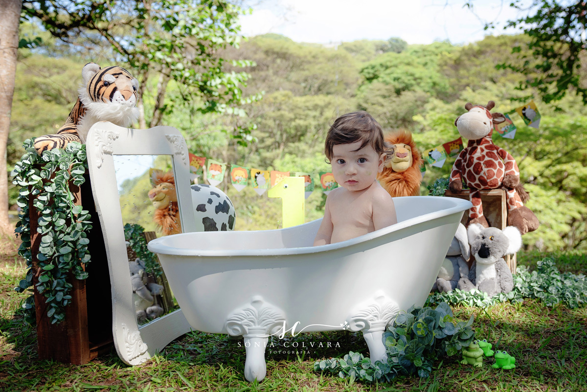 ensaio smash the cake de menino do safari externo31