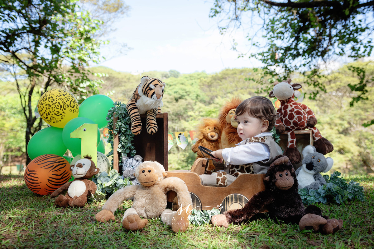 ensaio smash the cake de menino do safari externo38