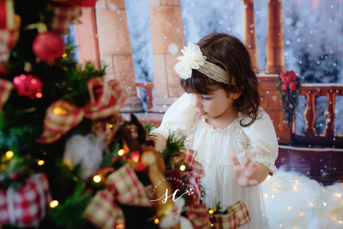 sessao-de-natal-estudio, ensaio-de-natal-2022-sonia-colvara-são-paulo, book-de-natal-sp, fotos-de-natal-2022-sp, Sonia Colvara, sessao-de-natal-2022, SP