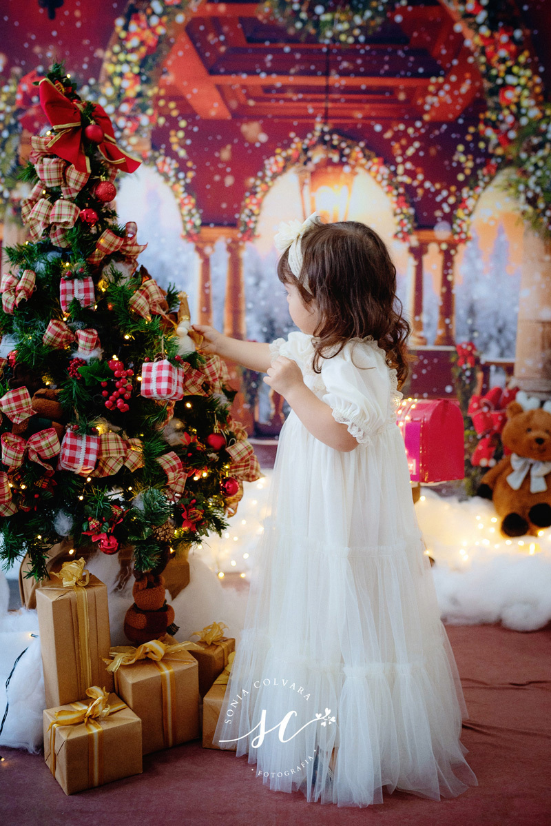 sessao-de-natal-estudio, ensaio-de-natal-2022-sonia-colvara-são-paulo, book-de-natal-sp, fotos-de-natal-2022-sp, Sonia Colvara, sessao-de-natal-2022, SP