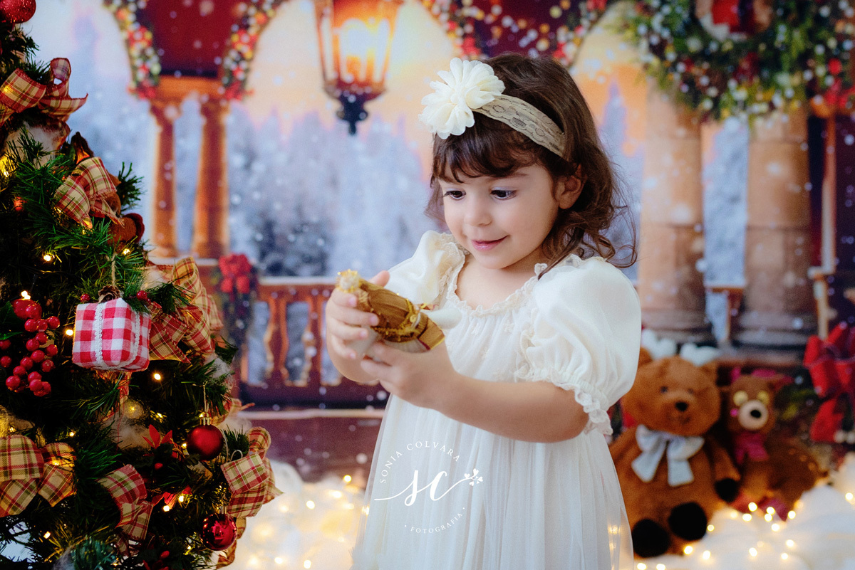 sessao-de-natal-estudio, ensaio-de-natal-2022-sonia-colvara-são-paulo, book-de-natal-sp, fotos-de-natal-2022-sp, Sonia Colvara, sessao-de-natal-2022, SP