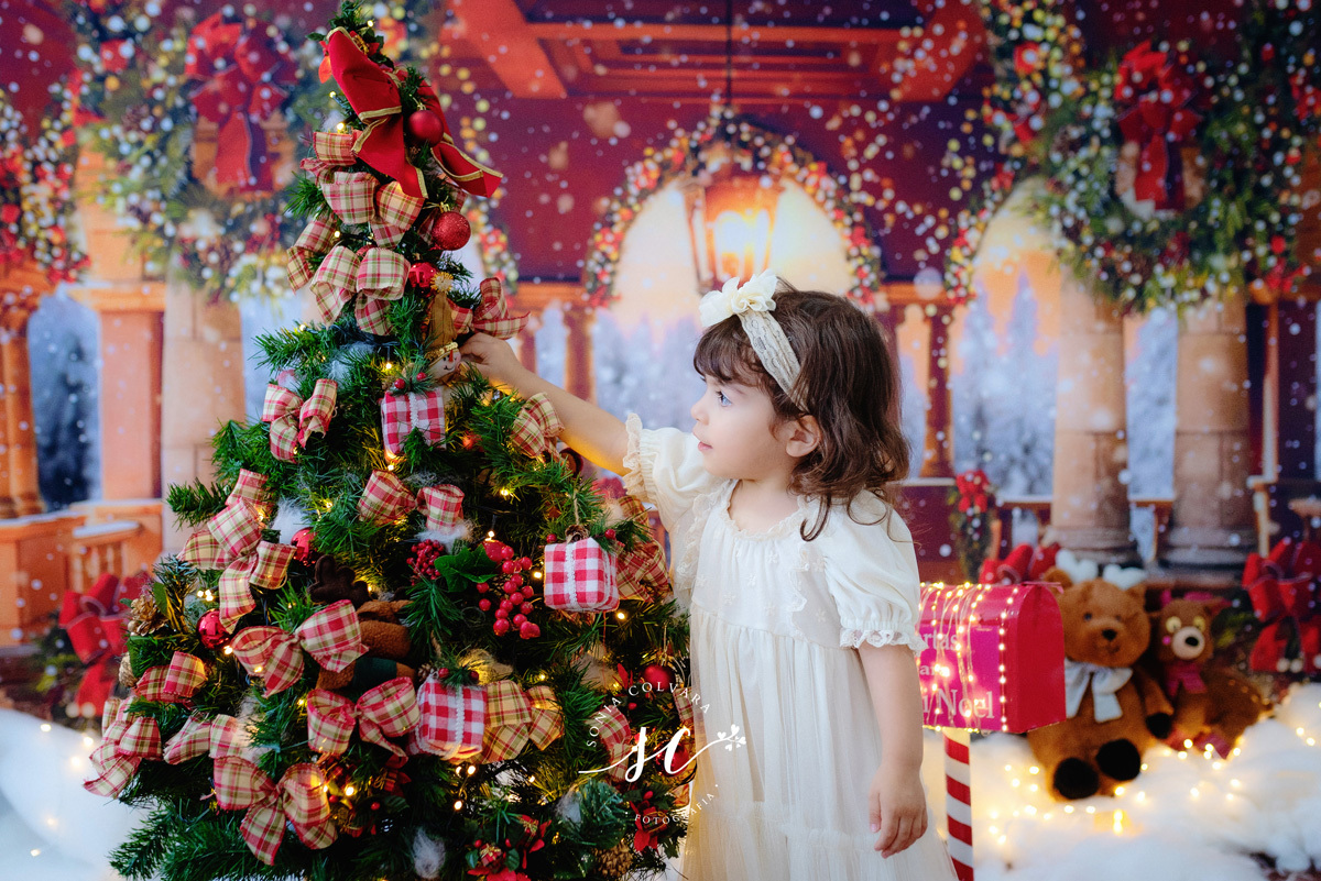 sessao-de-natal-estudio, ensaio-de-natal-2022-sonia-colvara-são-paulo, book-de-natal-sp, fotos-de-natal-2022-sp, Sonia Colvara, sessao-de-natal-2022, SP