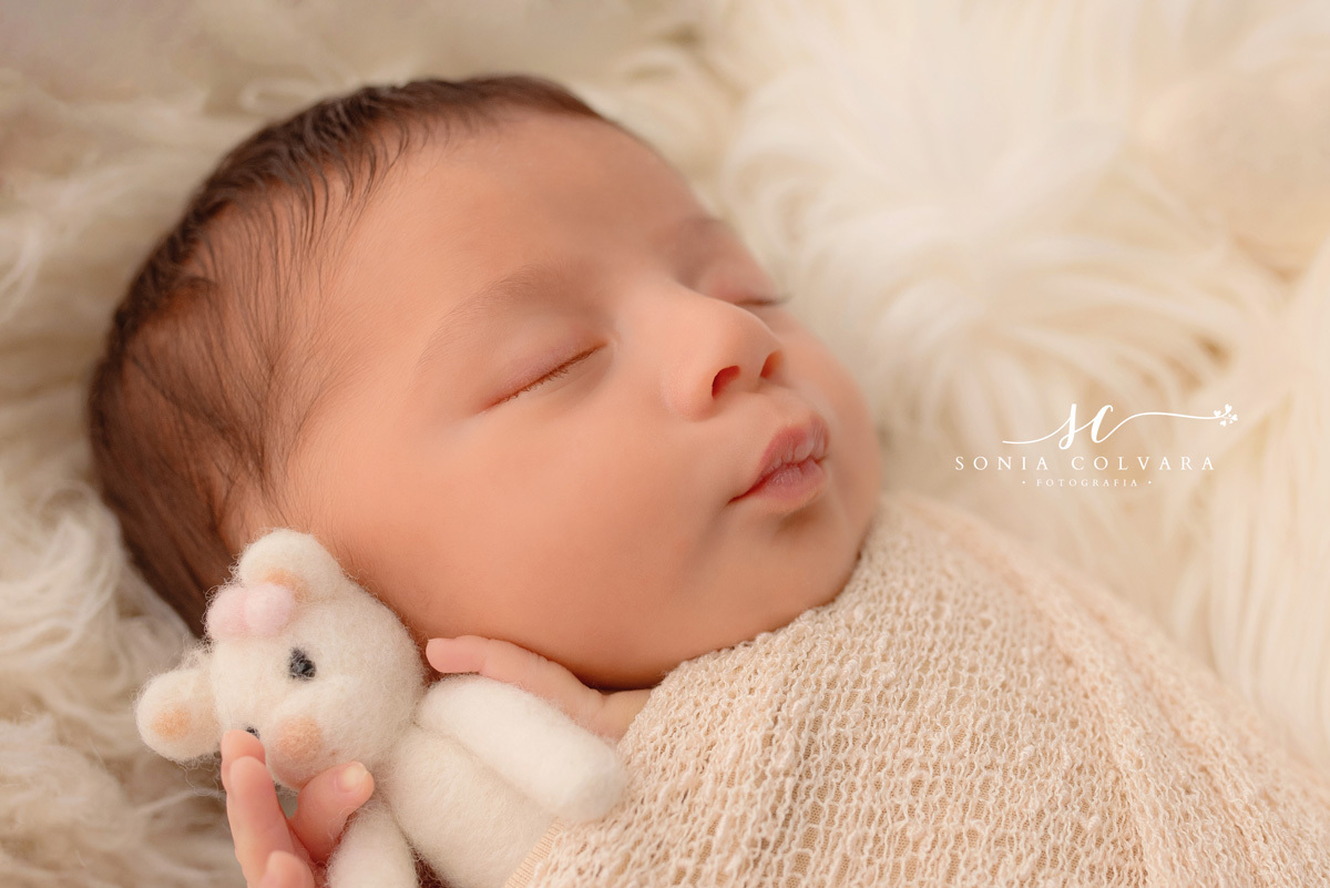 Estudio-newborn-zona-sul-de-sp-fotografia-newborn-em-são-paulo-foto-book-de-ensaio-newborn-de-menina-newborn-de-menina-sp-ensaio-newborn-de-menina-em-sp-newborn-recém-nascido-em-domicilio-sp-soniacolvara-foto-newborn-fotografia-newborn-bêbe-zona-sul-sp