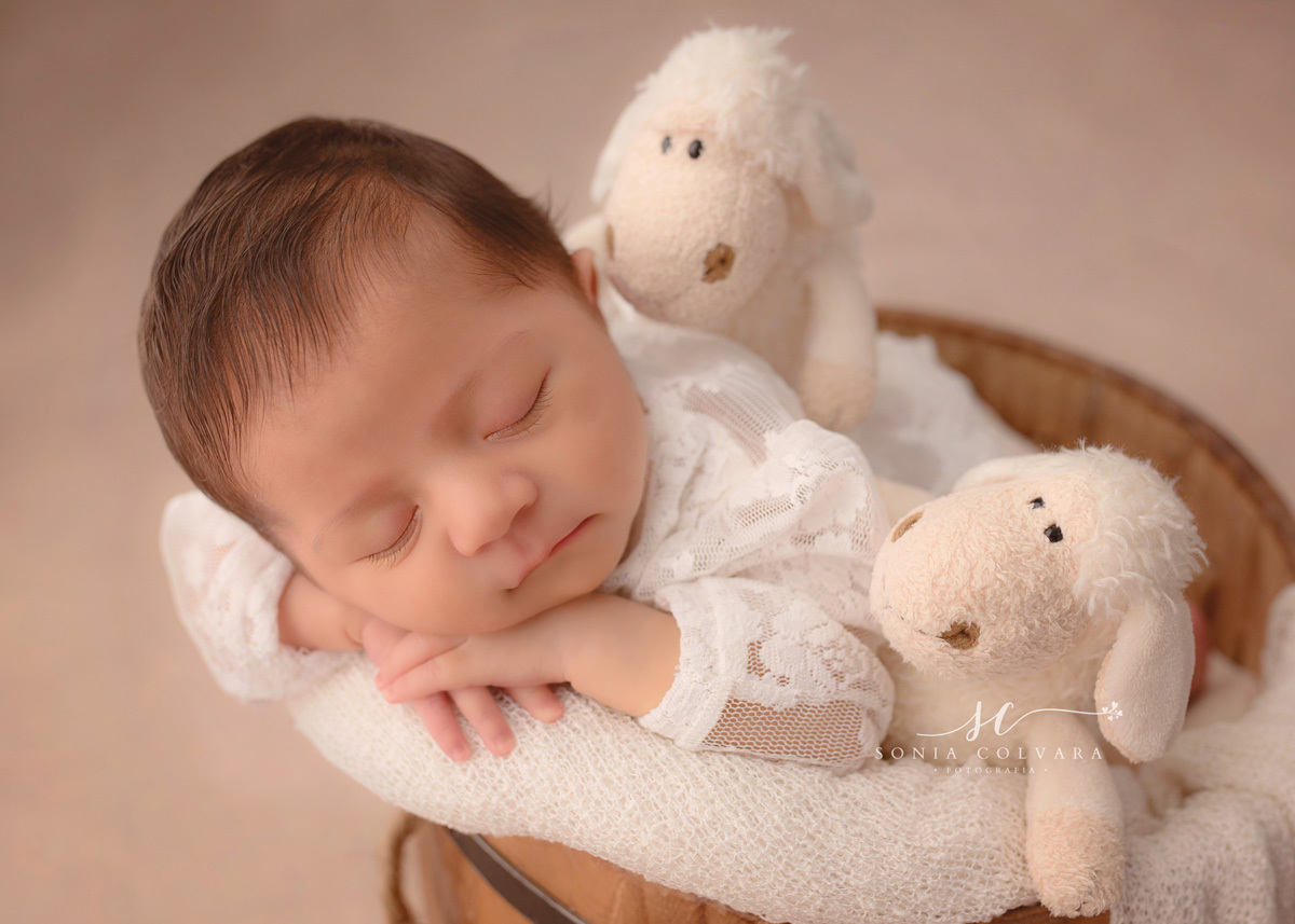 Estudio-newborn-zona-sul-de-sp-fotografia-newborn-em-são-paulo-foto-book-de-ensaio-newborn-de-menina-newborn-de-menina-sp-ensaio-newborn-de-menina-em-sp-newborn-recém-nascido-em-domicilio-sp-soniacolvara-foto-newborn-fotografia-newborn-bêbe-zona-sul-sp