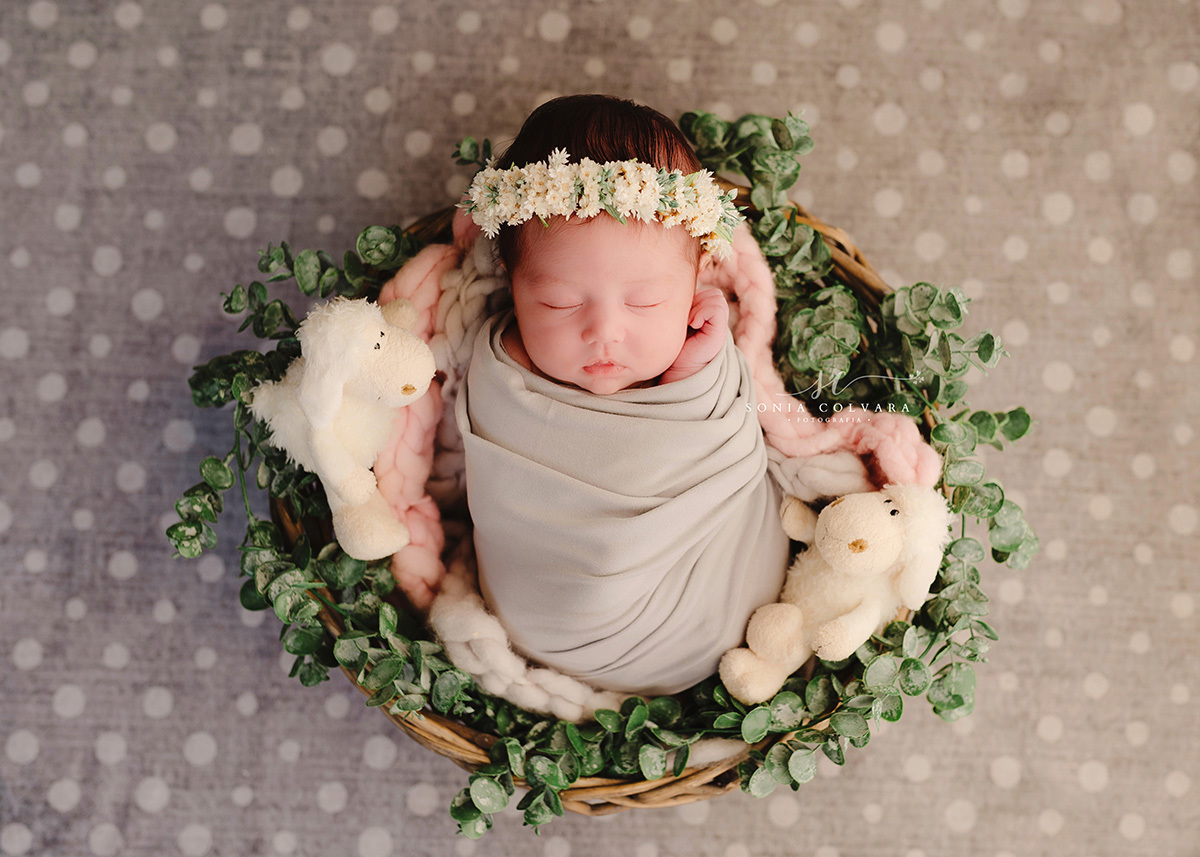 ensaio-newborn-em-domicilio-estudio-sp-sao-paulo-filhos-foto