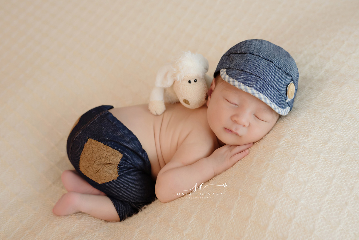 foto-newborn-domicilio-com-15-dias-são-paulo-sp-zona-sul