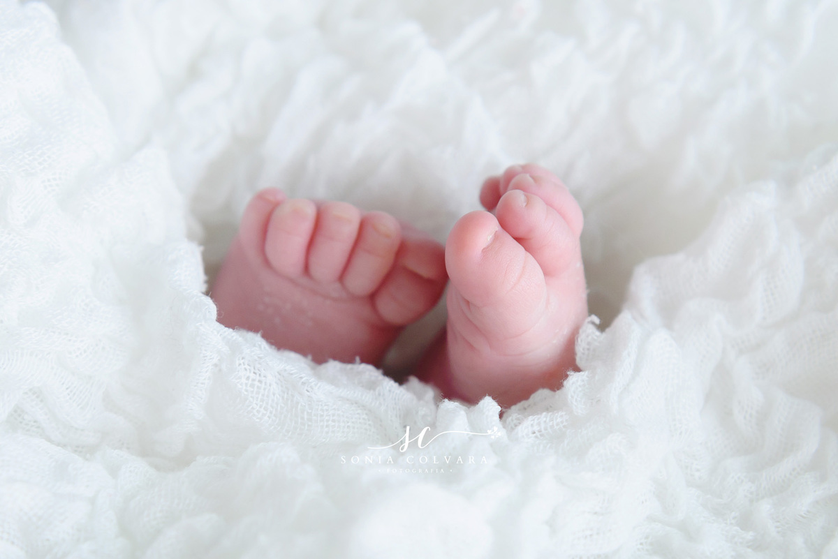 foto newborn em sp
ensaio newborn em domicilio