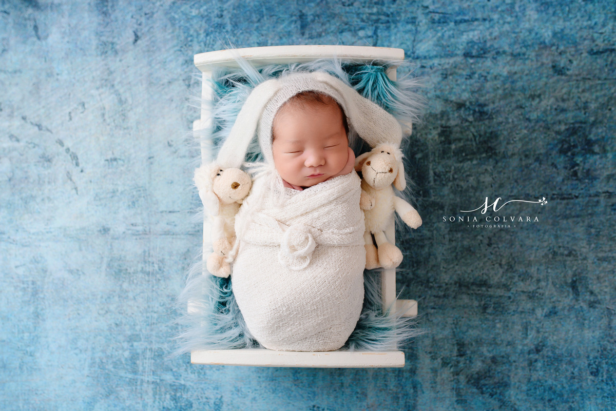 ensaio-book-newborn-menino-em-casa-no-domicilio-em-sao-paulo-zona-sul