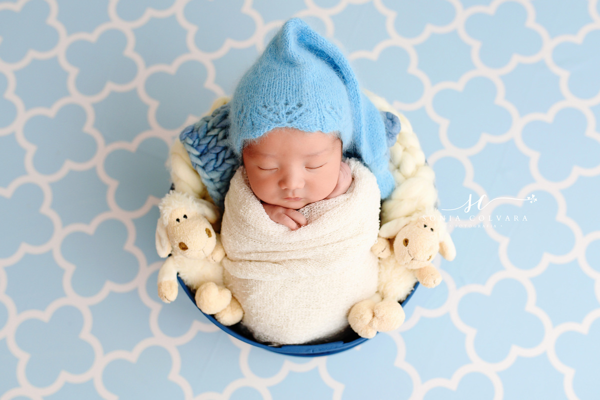 ensaio-book-newborn-menino-em-casa-no-domicilio-em-sao-paulo-zona-sul