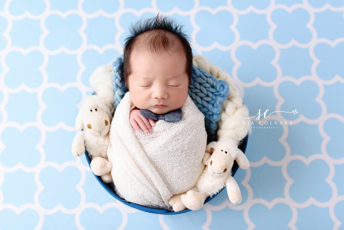 ensaio-book-newborn-menino-em-casa-no-domicilio-em-sao-paulo-zona-sul