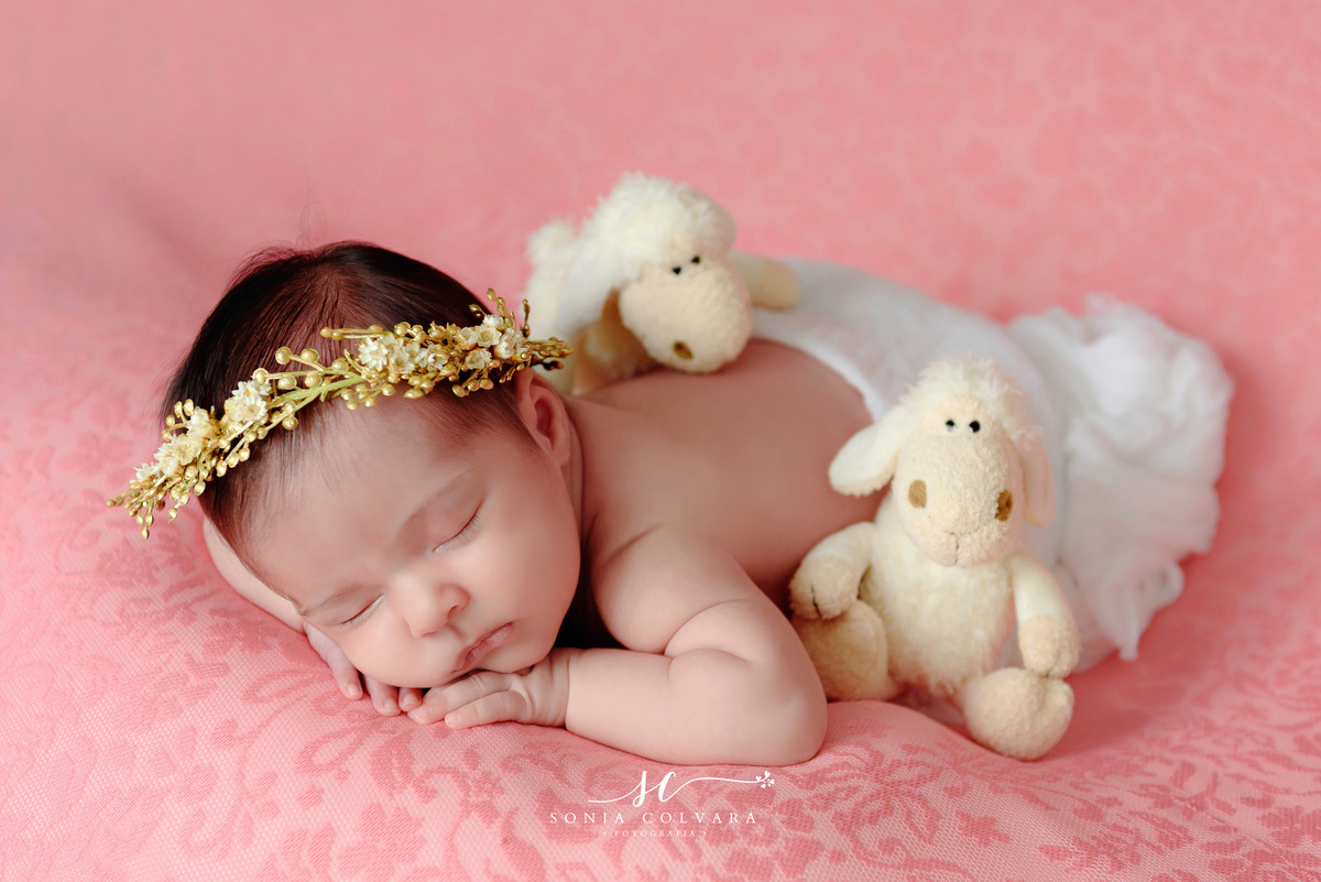 foto-newborn-em-sp-ensaio-newborn-em-domicilio-zona-sul