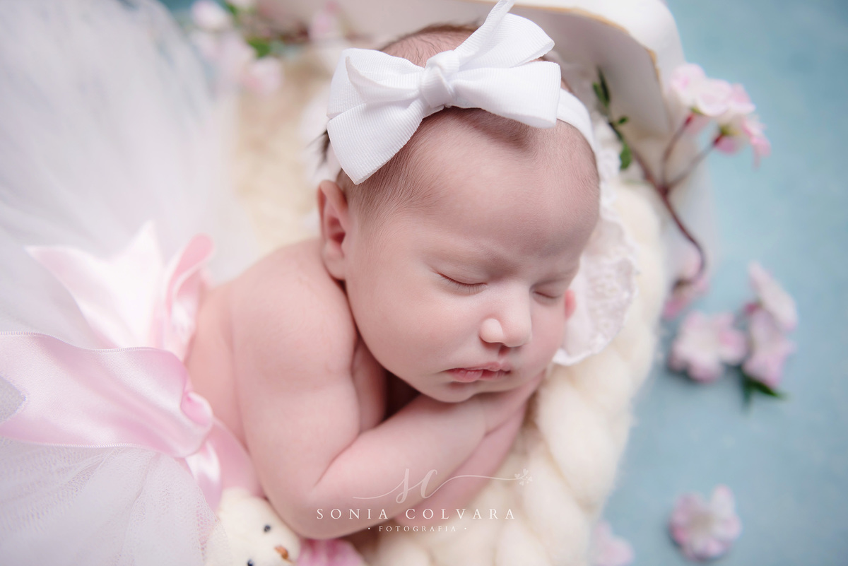 foto-newborn-menina-sp
ensaio-newborn-menina-domicilio-sp
newborn-menina-em-casa-sp