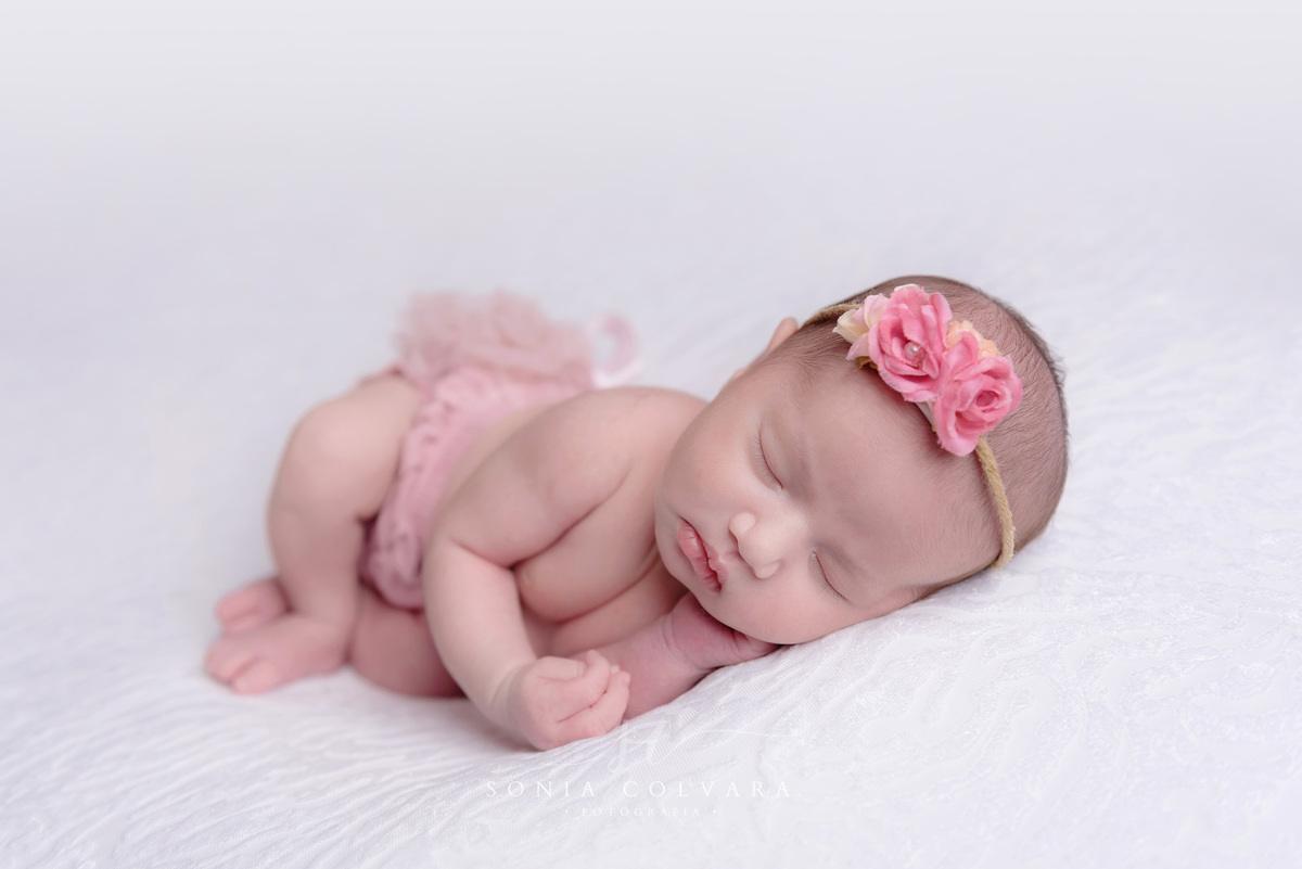 foto-newborn-menina-sp
ensaio-newborn-menina-domicilio-sp
newborn-menina-em-casa-sp