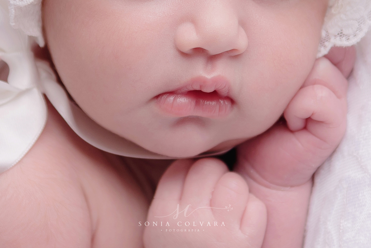 foto-newborn-menina-sp
ensaio-newborn-menina-domicilio-sp
newborn-menina-em-casa-sp
