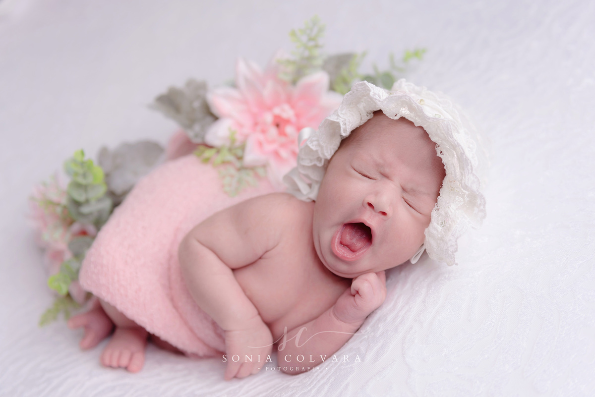 foto-newborn-menina-sp
ensaio-newborn-menina-domicilio-sp
newborn-menina-em-casa-sp