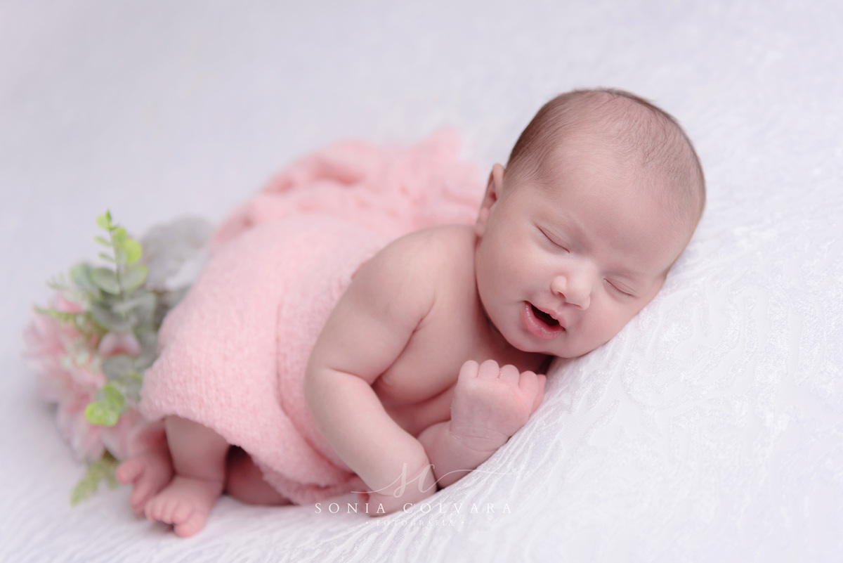 foto-newborn-menina-sp
ensaio-newborn-menina-domicilio-sp
newborn-menina-em-casa-sp