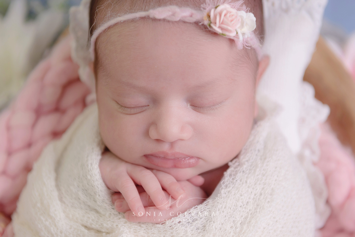 sessao-fotos-menina-sp
foto-newborn-menina-sp
ensaio-newborn-sp
ensaio-newborn-menina-domicilio-sp
newborn-menina-em-casa-sp
newborn-menina-em-casa-sp