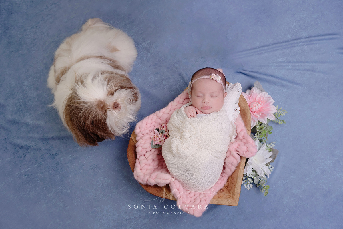 sessao-fotos-menina-sp
foto-newborn-menina-sp
ensaio-newborn-sp
ensaio-newborn-menina-domicilio-sp
newborn-menina-em-casa-sp
newborn-menina-em-casa-sp