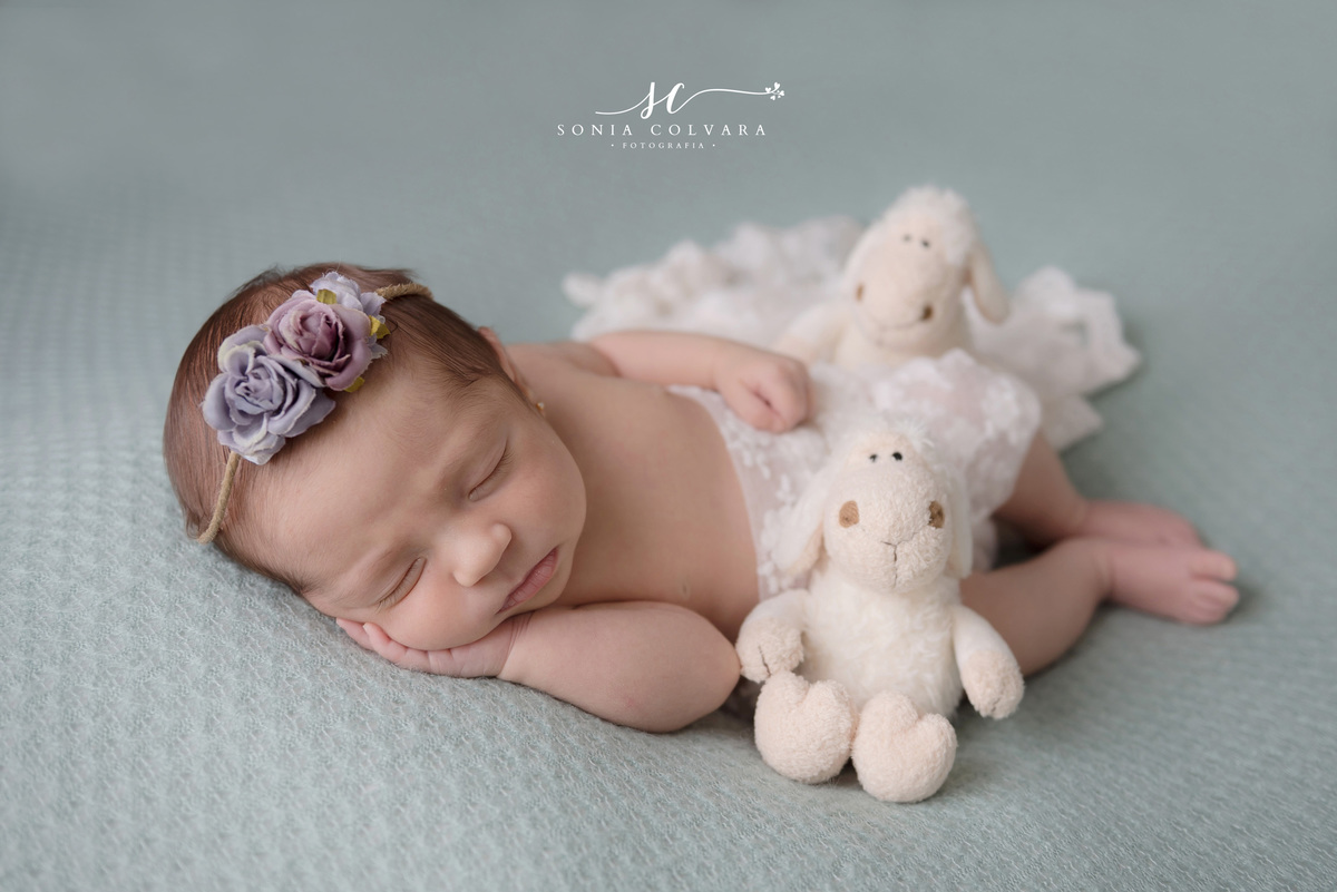 ensaio-newborn-em-domicilio-
book-newborn-menina-sp